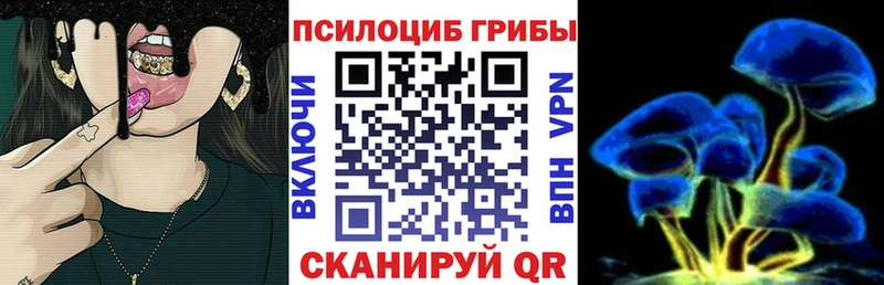 Галлюциногенные грибы мухоморы наркотики Трубчевск